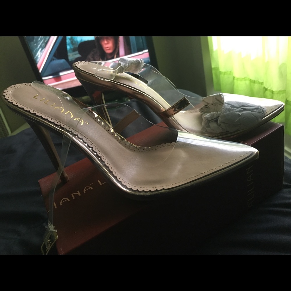 Clear Pointed Toe Heel